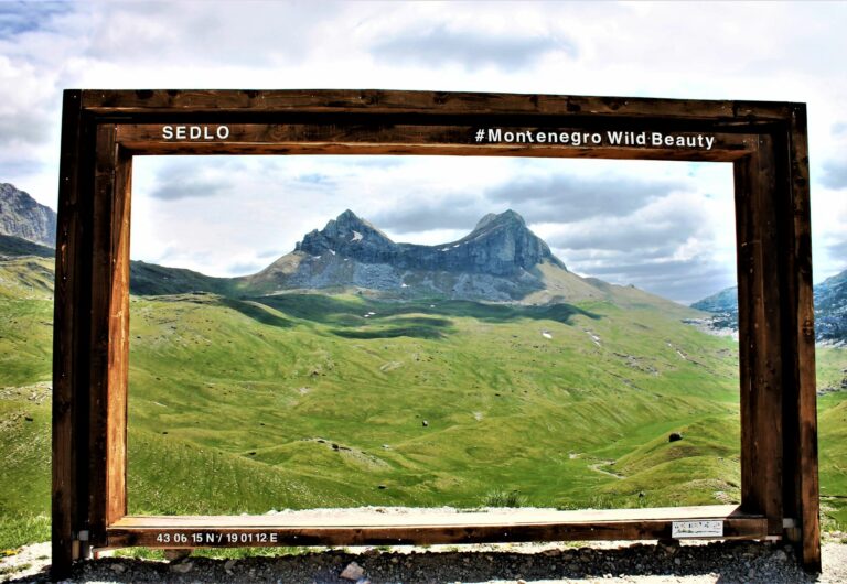 sedloviewpoint sedloviewpoint