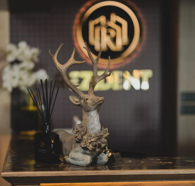 Hotel Rezident-16